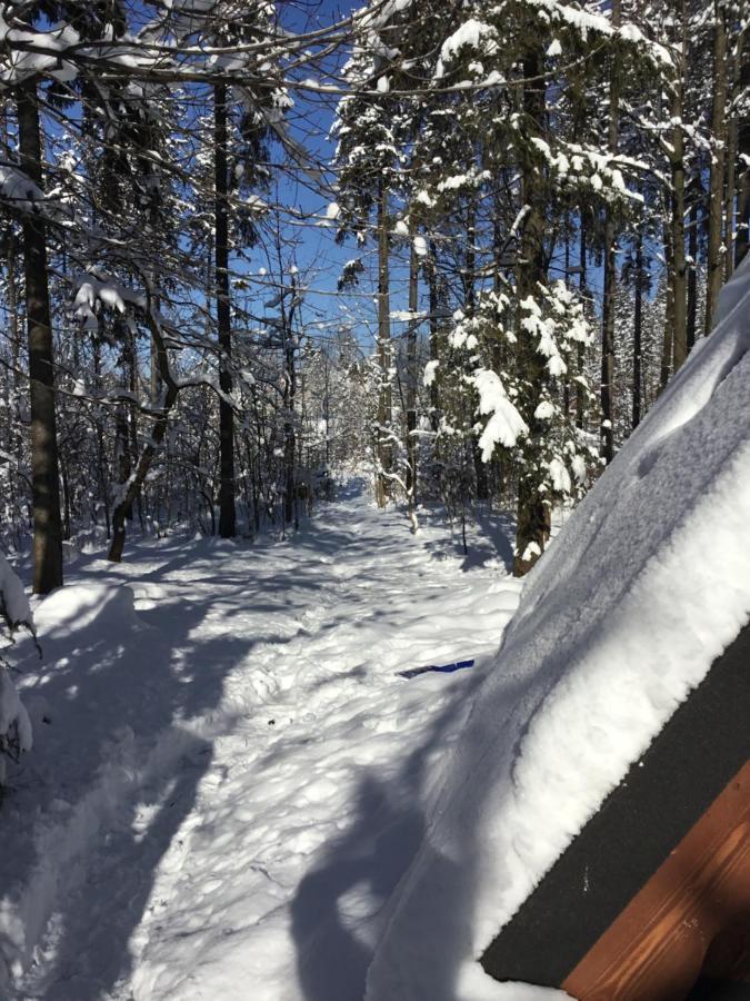Chałubińskiego 41 Zakopane Zewnętrze zdjęcie