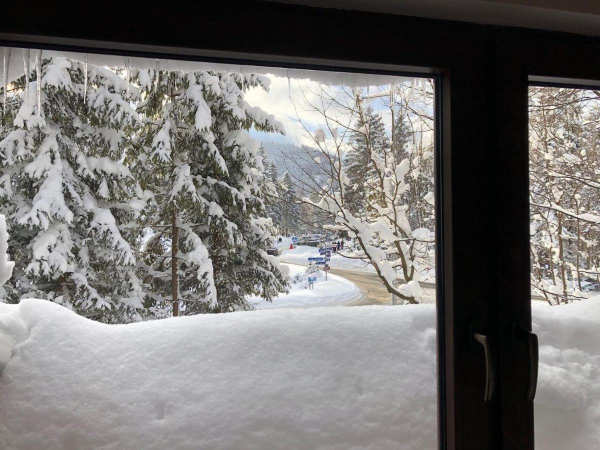 Chałubińskiego 41 Zakopane Zewnętrze zdjęcie